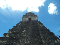 Royalty Free Stock Media